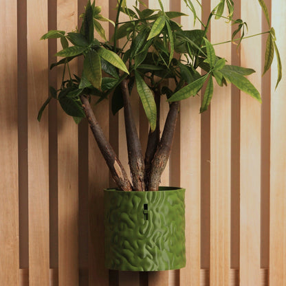 TANSORI Shabon – Blumentopf mit Bewässerungssystem für die Wand